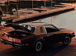 Chevrolet Monza Towne Coupe 1975 года